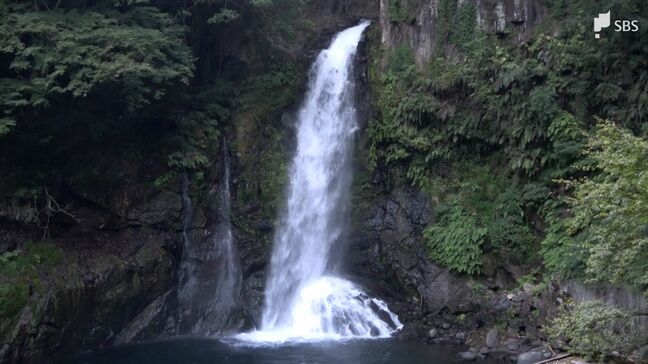 河津町の大滝で東京在住の21歳男性が溺れ死亡　友人「水に足をつけるなどして遊んでいた」＝静岡県警|TBS NEWS DIG