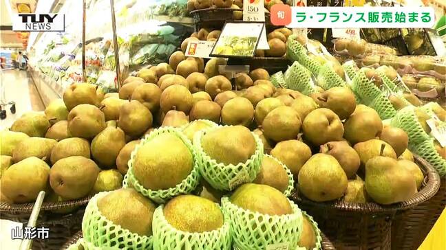 今年は甘い！ "果物の女王" ラ・フランスの販売始まる　食べごろを見極めるには？（山形）|TBS NEWS DIG
