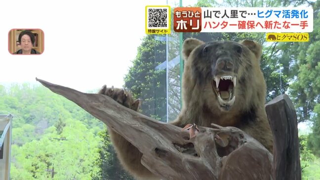 【ヒグマSOS】250キロ超の“メタボヒグマ”も出現 北海道で急増するクマ被害、新時代の『ハンタービジネス』とは?|TBS NEWS DIG