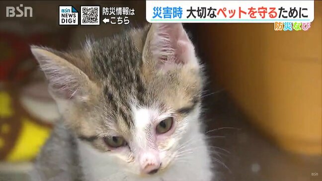 「ペットの命を守るのは飼い主」今災害が起きたら 大切なペットと“一緒に避難”できますか？『ペット防災4カ条』|TBS NEWS DIG