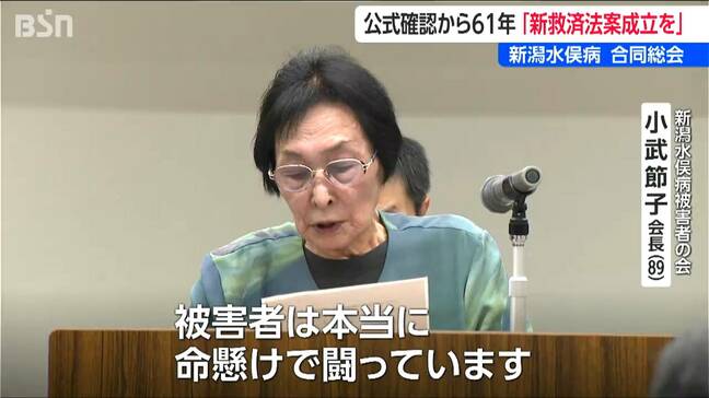 「被害者は命がけで闘っている」 新潟水俣病合同総会 廃案の新救済法案 成立目指して訴え |TBS NEWS DIG