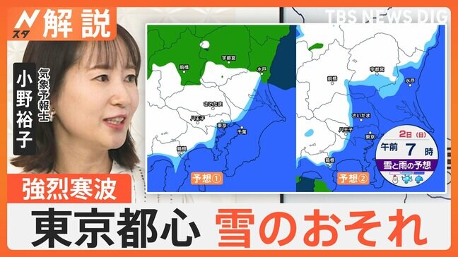 東京都心も日曜に雪のおそれ、気象予報士「中学入試、念のため雪への備えも」 来週にかけ強烈寒波続く【Nスタ解説】|TBS NEWS DIG