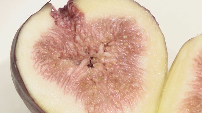 名産ナシとイチジクが旬を迎えマルシェ開催 雨少なく高温続きでイチジクは小玉傾向も「糖度は例年にない高さ」 愛知・安城市|TBS NEWS DIG