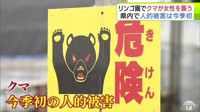 【詳報】リンゴ園で休憩中…背後から『クマ』　　76歳の女性が襲われ目や頬などにけが　警察や猟友会などが出動して警戒もその後のクマの行方は分からず|TBS NEWS DIG