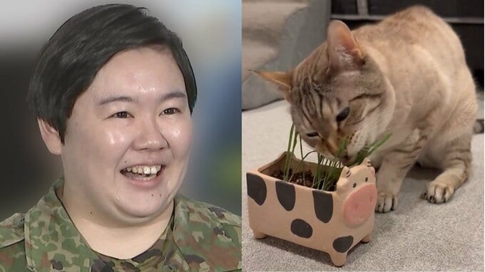 【やす子】愛猫アビシに「手作り猫草」　「食べてる、かわいい」伝わる愛情に「作って良かった！」|TBS NEWS DIG