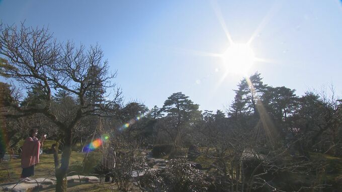 ぽかぽかで散策日和 金沢で15度超え4月上旬並みの気温に　|　石川県のニュース｜MRO北陸放送