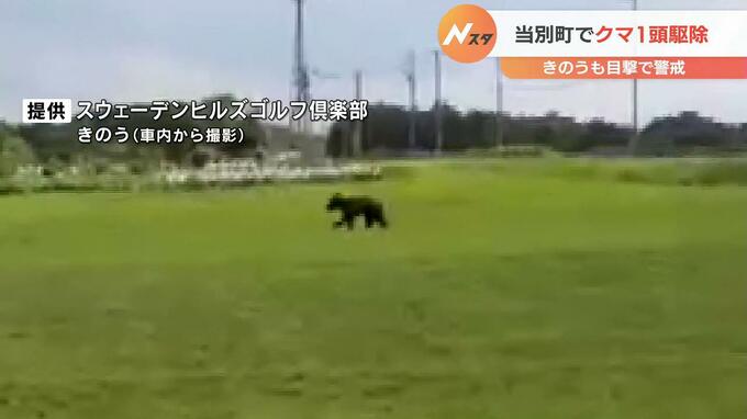 ゴルフ場に現れたクマ…翌日も現れ、ハンターが出動、駆除される　北海道当別町　　　|　北海道のニュース｜HBC北海道放送