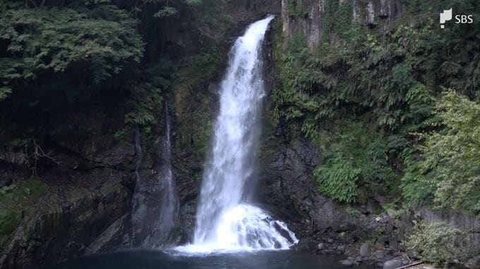 河津町の大滝で東京在住の21歳男性が溺れ死亡　友人「水に足をつけるなどして遊んでいた」＝静岡県警|TBS NEWS DIG
