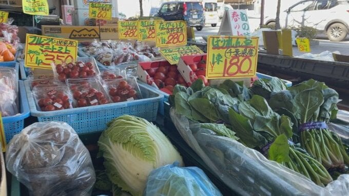 「キャベツなんかはかなり安く」青果店は暖冬で野菜の売れ行きに変化も　出方が鈍い野菜とは　|　山梨のニュース | ＵＴＹテレビ山梨