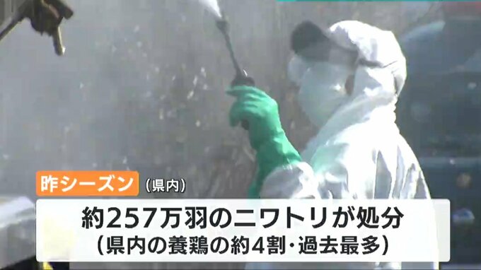 新発田市で回収されたコハクチョウから『高病原性鳥インフルエンザ』のウイルス検出　新潟県|TBS NEWS DIG
