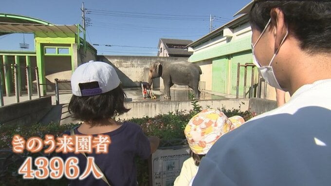 「バイバーイ」動物たちとお別れ　リニューアル前の最後の日　遊亀公園附属動物園　|　山梨のニュース | ＵＴＹテレビ山梨