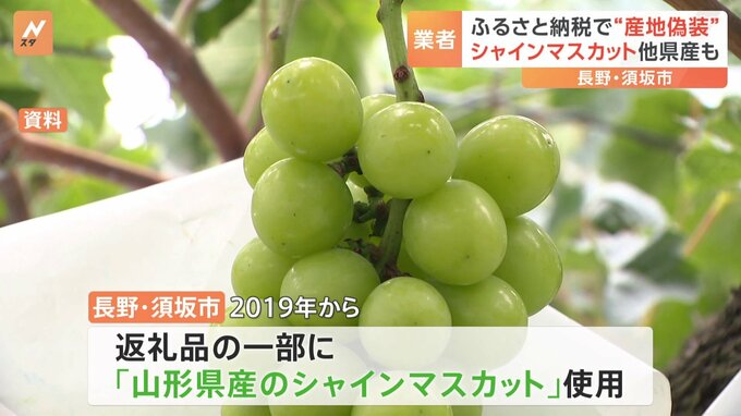 長野・須坂市　地元産ではないシャインマスカットをふるさと納税の返礼品にしていたと明らかに|TBS NEWS DIG
