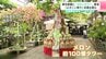 “よさこいメロンタワー”で祭りのパワーを感じて　観光農園にメロンタワー登場『よさこい祭り』応援企画も　|　高知のニュース・天気｜KUTV NEWS | KUTVテレビ高知