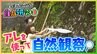昆虫好きのみんな、集まれ～！！  まだ間に合う！自由研究 ～自然観察～　|　愛媛のニュース - Nスタえひめ｜あいテレビは6チャンネル