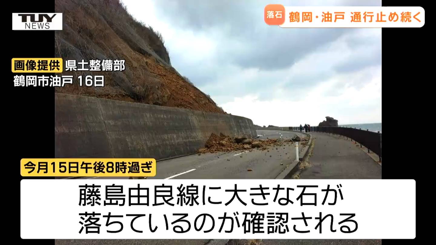 四国青をはじめ、全国の石が満載、200トンが激励 四国青石 2トン超過 - 日本庭にも近代的庭にも合わせられる庭石