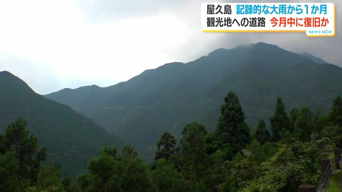 屋久島　記録的大雨から1か月　白谷雲水峡への県道通行再開は？