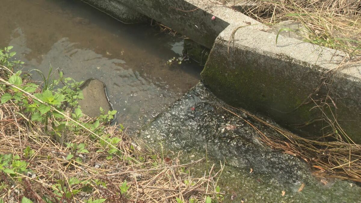 食品加工会社が不適切排水　市も確認怠る　地元区長「すごく臭った、大問題」　大分・国東市