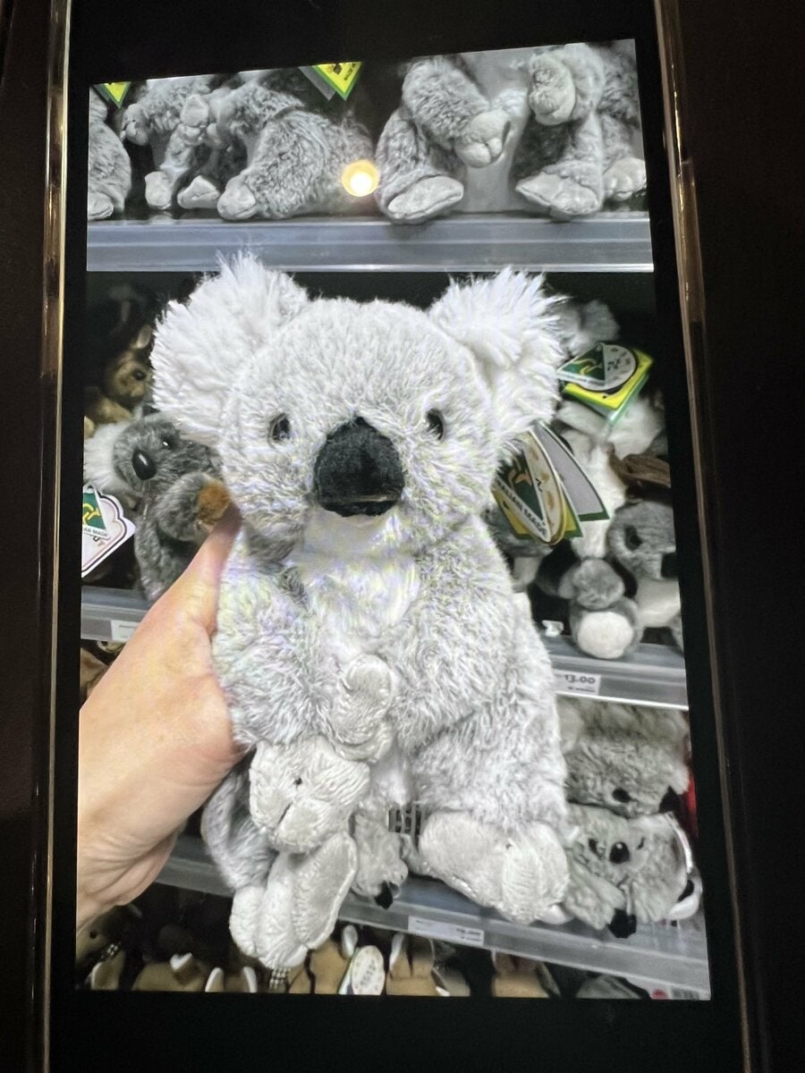 青いコアラ ぬいぐるみ 感謝の涙 青いコアラ ぬいぐるみ 感謝の涙 青いコアラ ぬいぐるみ 感謝の