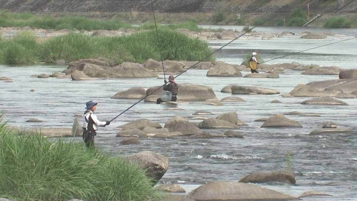 筑後川水系でアユ漁解禁　伝統の「友釣り」2時間で16匹の釣果も