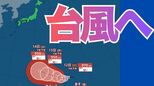 【台風情報　気象庁】24時間以内に台風に発達する？　雨はいつ降る？　9日（木）～14日（火）3時間ごと全国の雨風シミュレーション　全国の16日間天気予報【9日午後9時】|TBS NEWS DIG