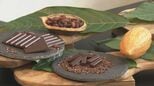 東海地方初の“国産チョコレート” 複合型リゾート施設｢VISON｣でカカオ栽培 プロジェクト始動から6年… ついに完成 どんな味？|TBS NEWS DIG