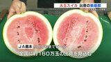 全国に160万玉を出荷！糖度12度！熊本特産の大玉スイカ 最盛期を迎える　|　熊本のニュース｜RKK NEWS｜RKK熊本放送