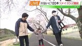 【中継】15年ぶり「さくら祭り」も復活 請戸川リバーラインのサクラ 福島・浪江町 | 福島のニュース│TUF