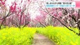 まるで桃源郷 惜しまれながら閉園した “西川花公園” 集落活動センターの悩みと新たな一歩 | 高知のニュース・天気|KUTV NEWS | KUTVテレビ高知