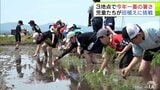 田んぼは「しゃっこくて泥が足につく」 夏日観測で今年一番の暑さになった所もあった青森県 つがる市では児童が昔ながらの田植えに挑戦! 慣れない泥に苦戦しながらも「おもしろかった!」 | 青森のニュース│ATV NEWS│青森テレビ