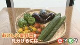 プロ直伝!旬の夏野菜“新鮮でおいしい”の見分け方 ナスは「トゲトゲ」ピーマンは「へたがピン」トウモロコシは「ヒゲ」|TBS NEWS DIG