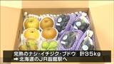完熟果物「ゆうパック→新幹線」で函館駅に 新鮮な状態で輸送の新しい形とは 仙台|TBS NEWS DIG