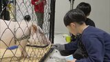 「毛がもふもふでやわらかい!」小動物と触れ合える”生きものフェスタ” ヘビと写真撮影も 親子連れで賑わう | 福岡のニュース|RKB NEWS|RKB毎日放送