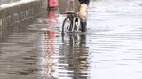相次いだ記録的豪雨「胸まで水があった」それでも…災害救助法が適用できない2つの基準【わたしの防災】 | 静岡のニュース | SBSNEWS | 静岡放送