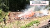 山の斜面を焼き払い ソバなどを栽培　椎葉村の伝統農業「焼き畑」を地元小学生が体験　|　MRTニュース ｜ ＭＲＴ宮崎放送