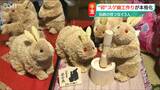 カワイイっ!! ウサギの表情と“モフモフ感”を楽しんで! たった3人で守る伝統のスゲ細工 | 新潟のニュース・天気|BSN NEWS|BSN新潟放送