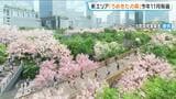 グラングリーン大阪北側に新エリア「うめきたの森」11月開園へ！105種類の植物で“日本の四季”を感じられる空間に…　おととし9月に南側が先行開業　大阪・梅田　|　MBSニュース | 関西の最新ニュースを分かりやすく。