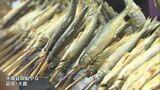 宮崎県延岡市の秋の風物詩「鮎やな」 食事棟の営業開始を前にセレモニー開催|TBS NEWS DIG