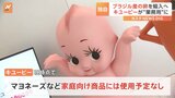 【独自】キユーピーが「ブラジル産卵」輸入へ 供給量不足や価格の高騰受け “業務用商品”向けに|TBS NEWS DIG