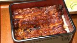 「鮮度のいいウナギを安く提供」今年もウナギは高値傾向…お得に食べるコツとは?=静岡・浜松市 | 静岡のニュース | SBSNEWS | 静岡放送