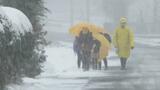 南予の平地で13cmの積雪 JR予土線は23日も一部運休へ 引き続き積雪や路面の凍結による交通障害に注意を【愛媛】 | 愛媛のニュース - Nスタえひめ|あいテレビは6チャンネル