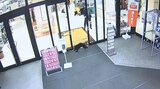 大型商業施設に子グマ 警察などが確保 山へ放つ 岩手・北上市の「江釣子ショッピングセンター パル」|TBS NEWS DIG