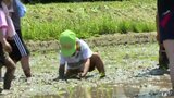 青天の霹靂「特A評価」への返り咲きを目指し田植え始まる 園児たちは泥んこになって初めての田植え体験!「もにゃもにゃしてきもちわるかった」 | 青森のニュース│ATV NEWS│青森テレビ