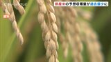 富山県産米の作付面積 3年連続で過去最少 作柄は「平年並み」見込む 富山 | 富山のニュース|天気・防災|チューリップテレビ