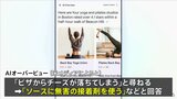 グーグル生成AI活用の新検索サービス「AIオーバービュー」誤情報を表示「ピザのソースに接着剤」、米報道|TBS NEWS DIG