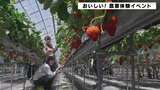 おいしい！甘い！農業体験イベント|TBS NEWS DIG