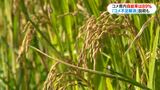 「コメ不足」解消も県内生産量 消費量を下回る見込み|TBS NEWS DIG