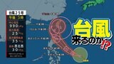【台風情報】11月に4つの台風は統計史上初 台風遠くても本州で雨【17日(日)までの雨と風のシミュレーション】|TBS NEWS DIG