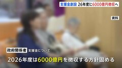 「異次元の少子化対策」財源の支援金制度　26年度に6000億円を徴収し段階的に引き上げへ| TBS CROSS DIG with Bloomberg