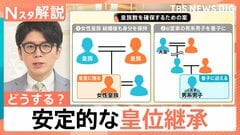 「安定的な皇位の継承」各党が議論 1年ぶり全体会議、王位継承権 海外での事例は？【Nスタ解説】| TBS CROSS DIG with Bloomberg
