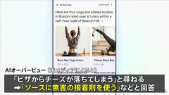 グーグル生成AI活用の新検索サービス「AIオーバービュー」誤情報を表示「ピザのソースに接着剤」、米報道| TBS CROSS DIG with Bloomberg